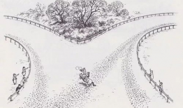 漫画人与马,人与马的和谐交响