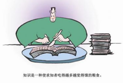 理论漫画,探索视觉叙事的艺术与哲学